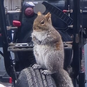 Meet your Posher, Stephen